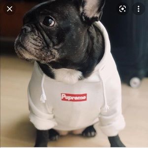 supreme dog collar hoodie